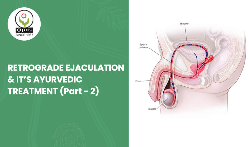 Retrograde Ejaculation and it's Ayurvedic Treatment(Part -2)