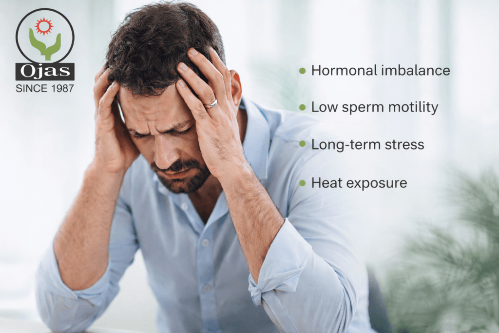 Male Infertility Treatment Near Vesu